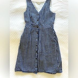 Navy Blue Gingham J. Crew Dress